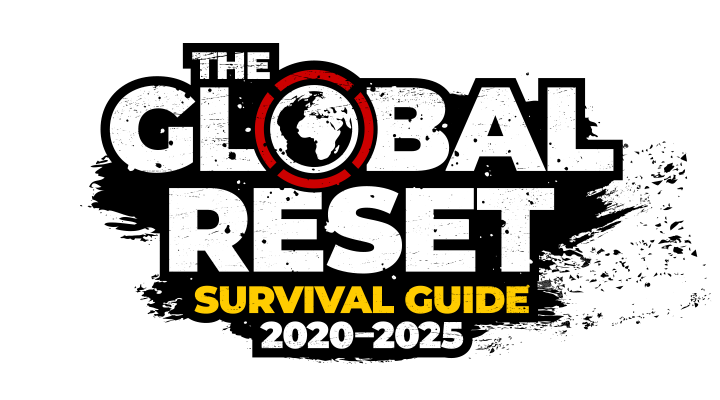Global Reset Survival Guide